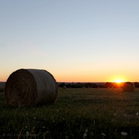 /album/galerie-de-photos-galerie-photos/frida-dumont-img-9860-jpg/